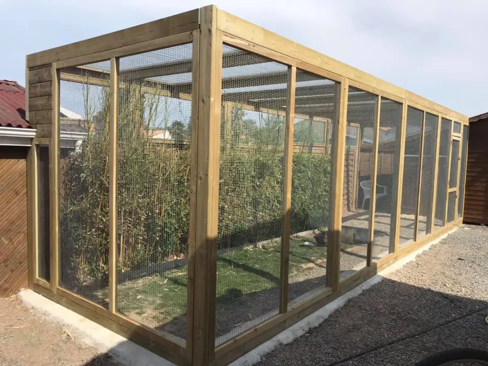 102661846_680615789181193_9089375950642085888_n