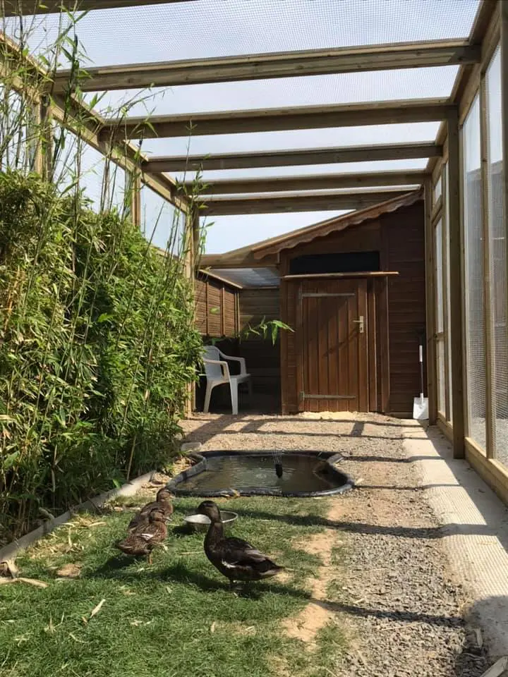 102673321_680615779181194_1075892451564060672_n