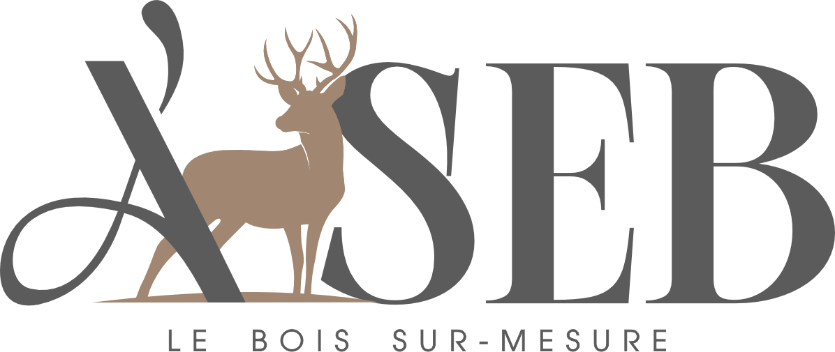 Logo d'A'SEB en gris et marron.